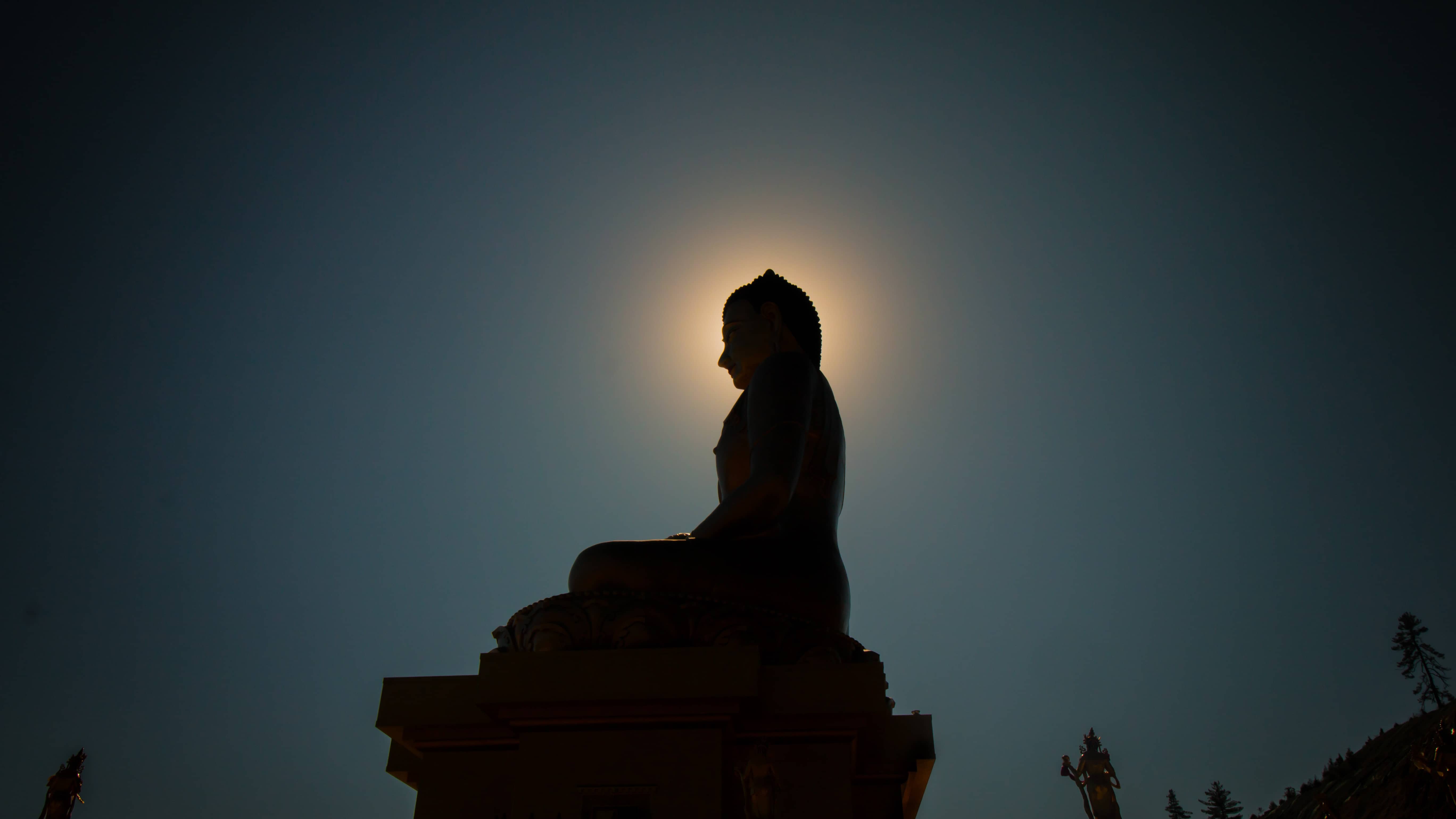 How to use this Hugo theme ?